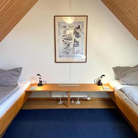 Austernfischer - Schoenes In Toplage Mit Grossem Garten Fuer Familie Und Freunde * Prerow