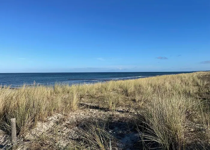 Austernfischer - Schoenes In Toplage Mit Grossem Garten Fuer Familie Und Freunde Hébergement de vacances *