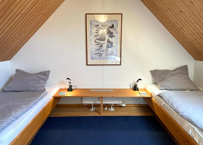 Austernfischer - Schoenes In Toplage Mit Grossem Garten Fuer Familie Und Freunde * Prerow